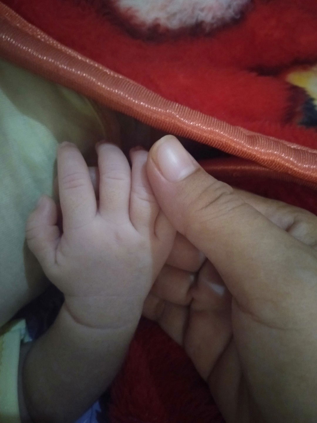 Johar Sangadah profile icon