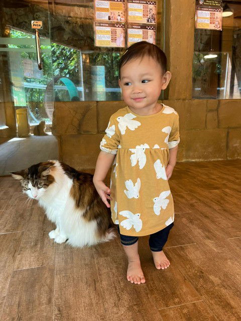 Mimi Jamilah profile icon