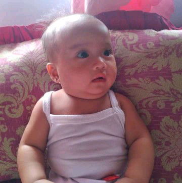 daniel laxamana profile icon