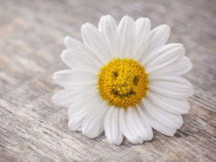 Pannipa.R profile icon