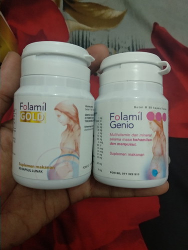 vitamin bumil