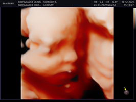 ไน น์ profile icon