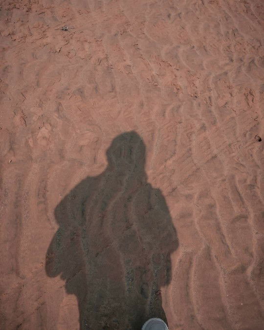 Low Dinda YCWS profile icon