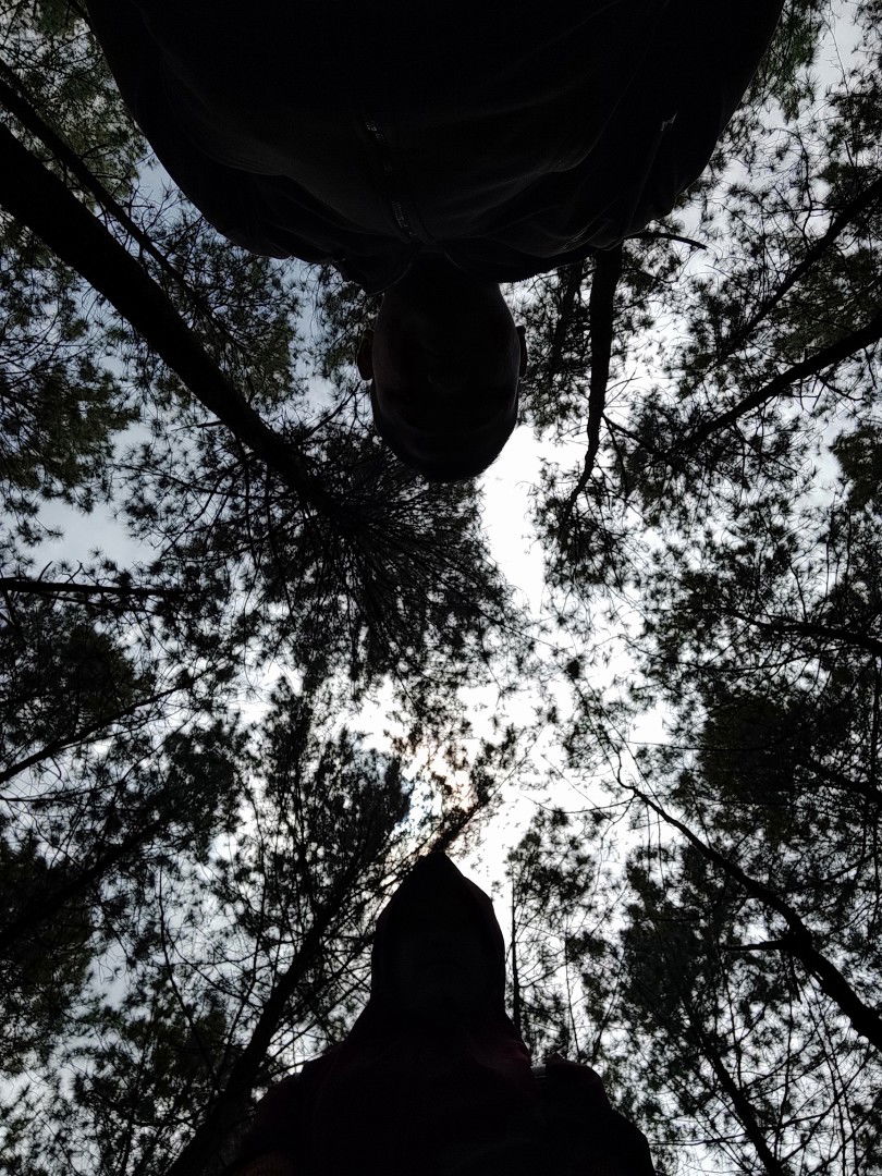 Desiwulan profile icon