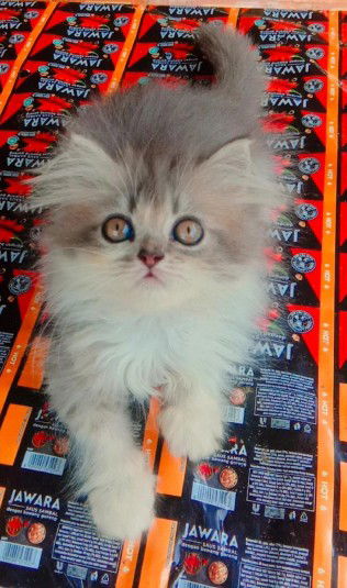 Yuwan Krisdianti profile icon