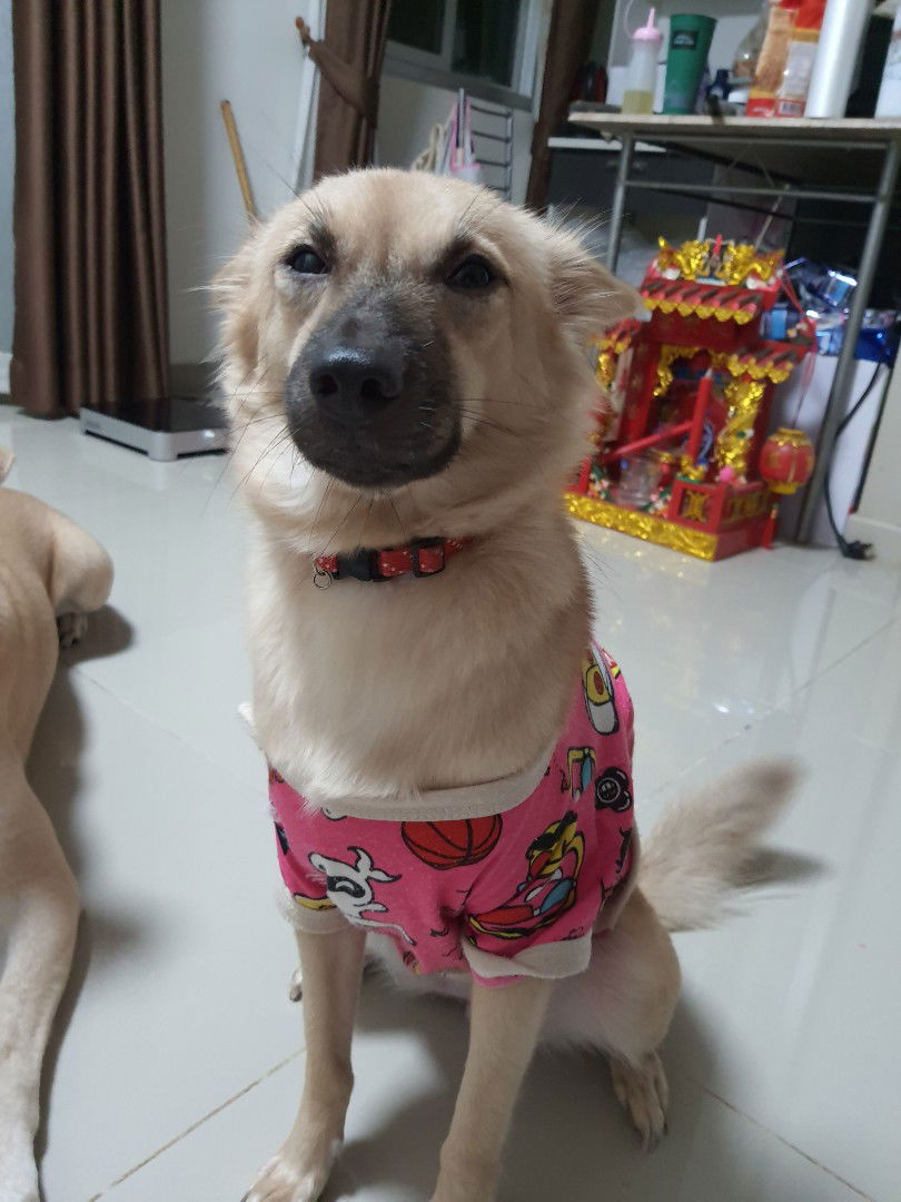 kamonrut tangjitmanakul profile icon