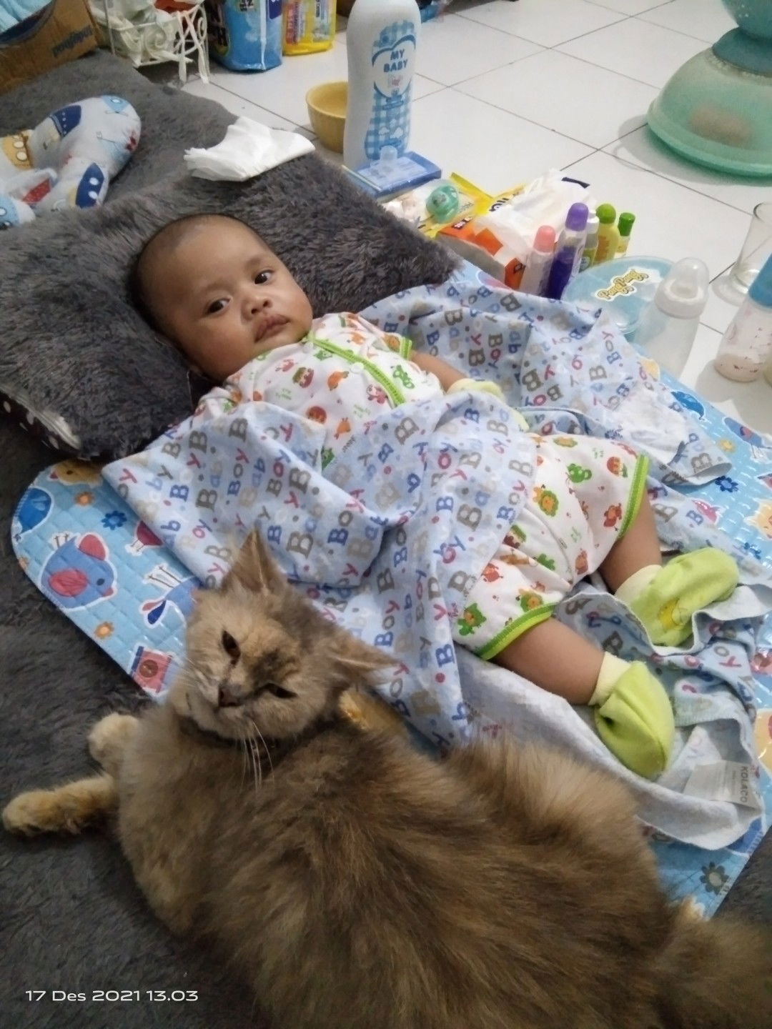 phieant profile icon