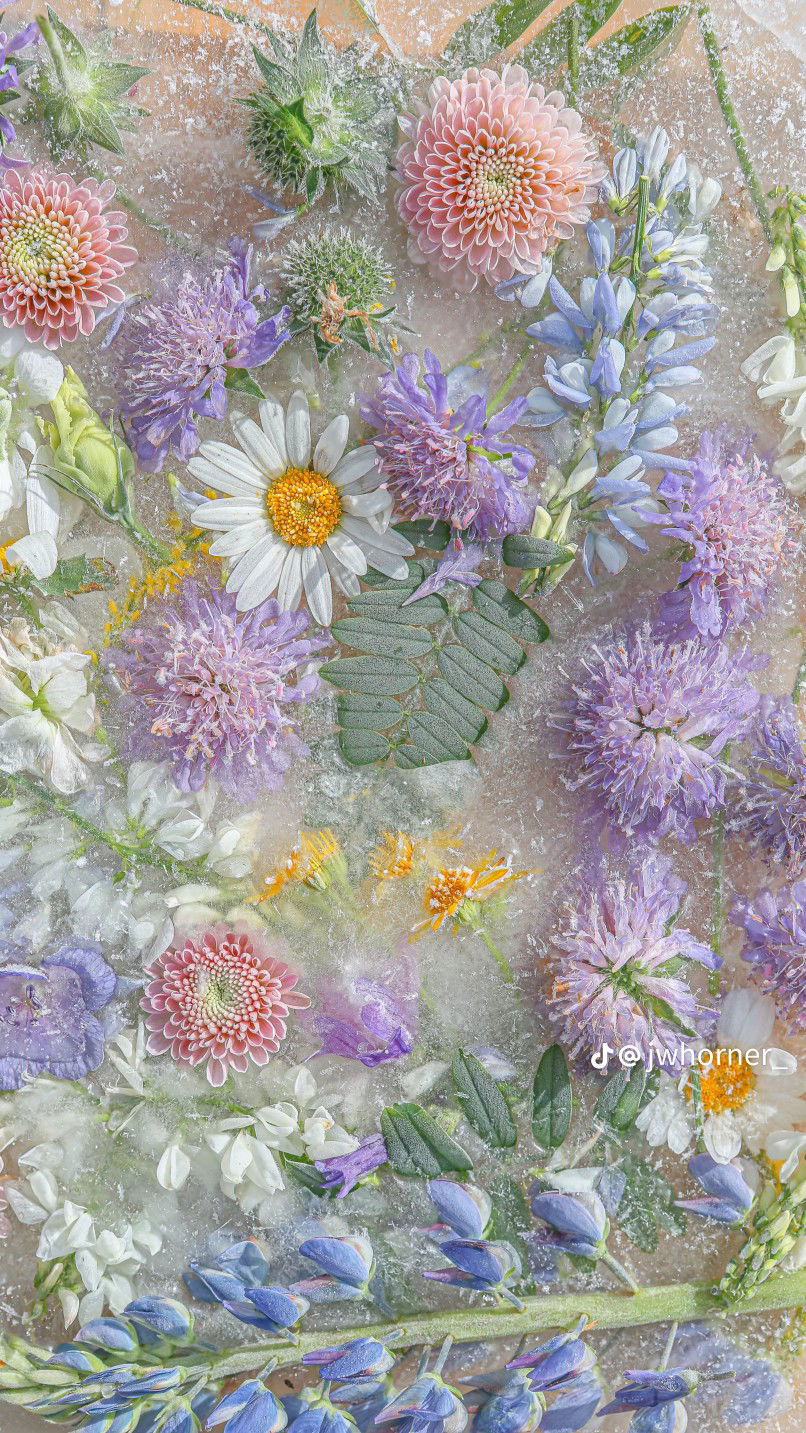 st andini profile icon