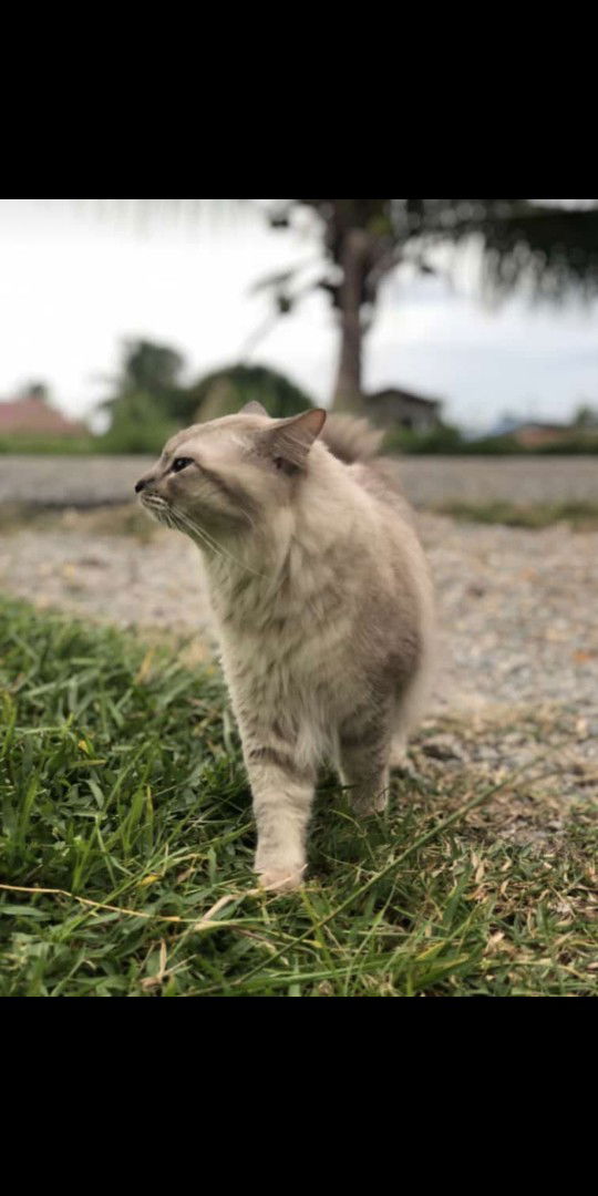 Aini Zainal profile icon