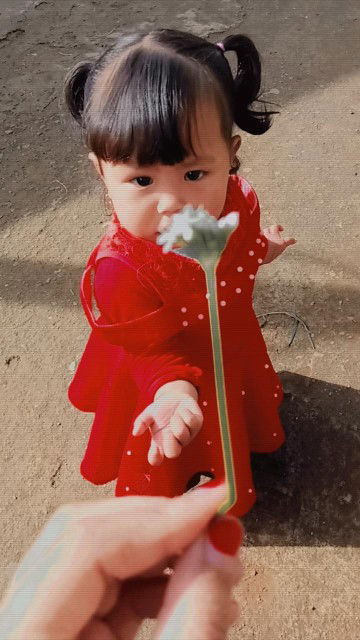 Fika melli profile icon