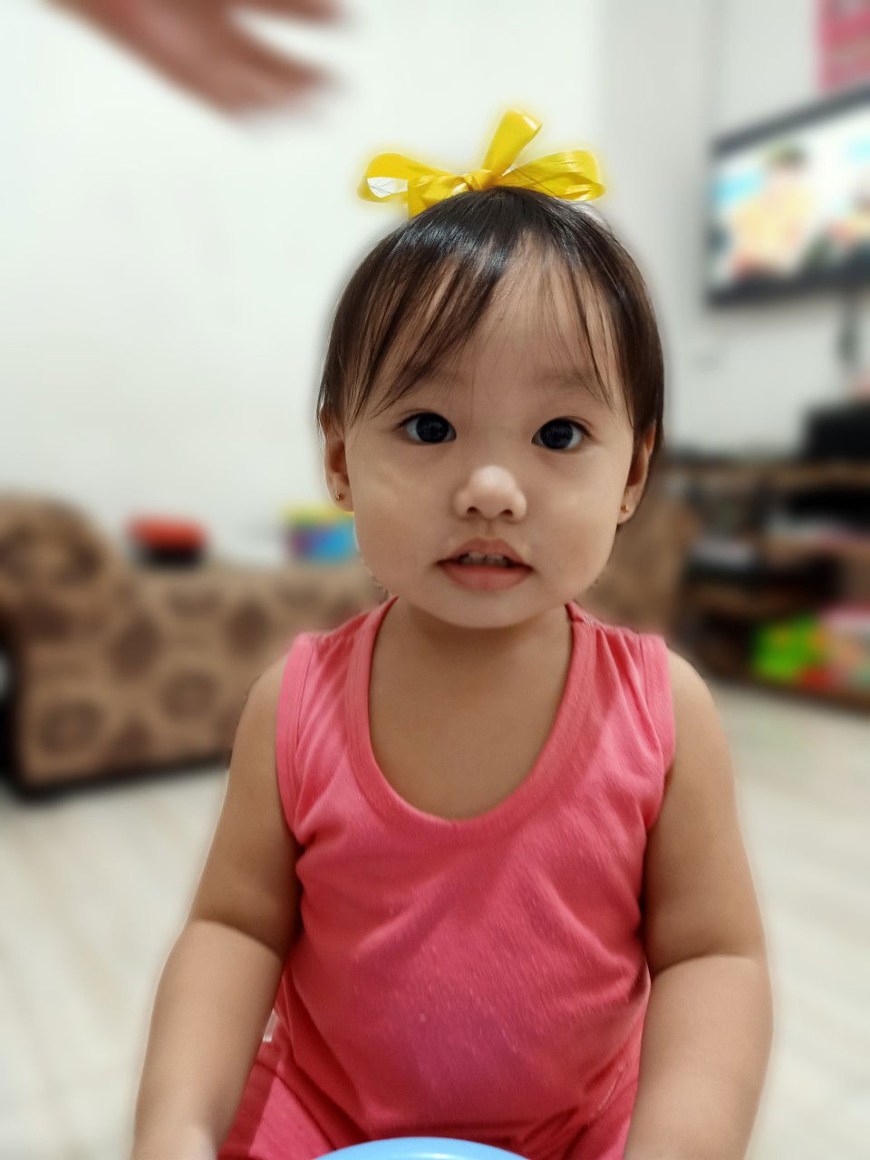 Shai Pascual profile icon