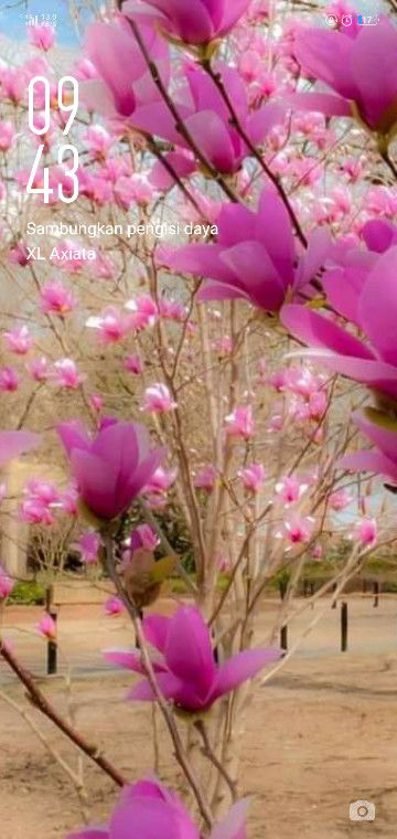 ummu yasmin profile icon