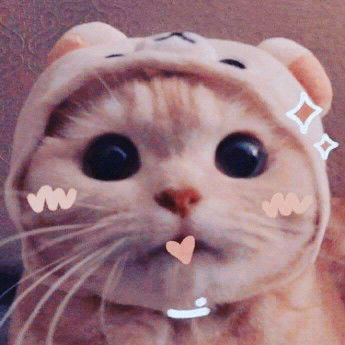 baby boo profile icon