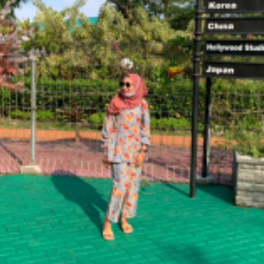 Elsinam profile icon