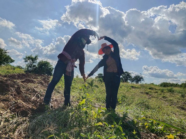 ดาว เหนือ profile icon