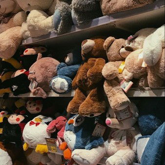 แมว profile icon