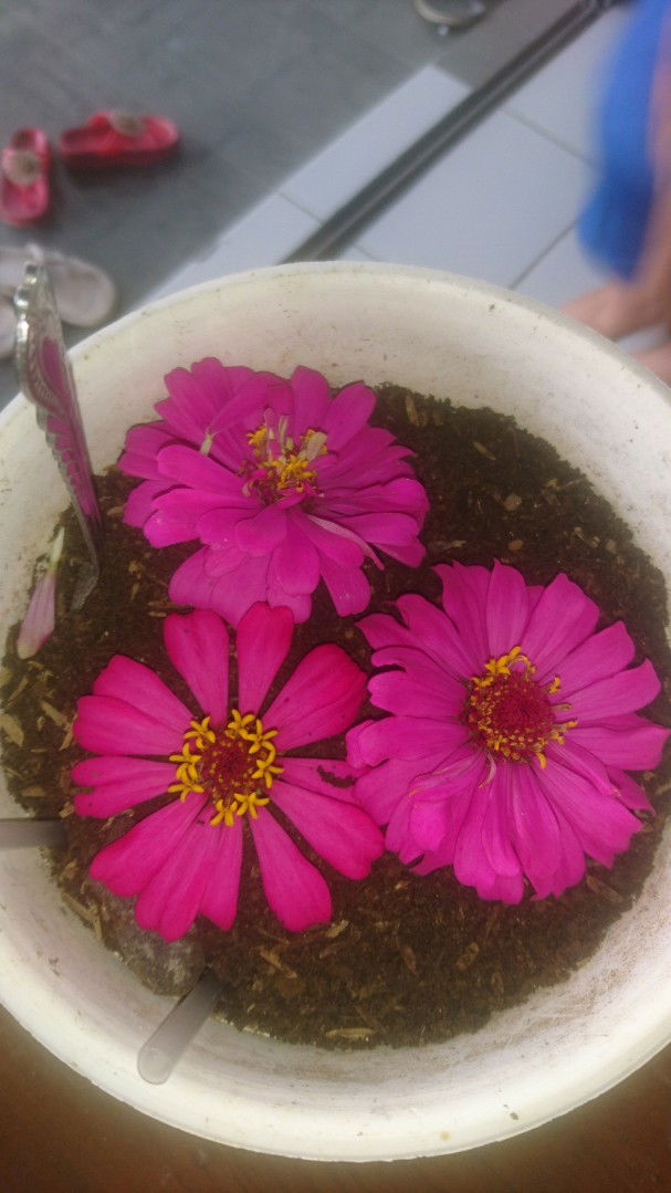 LetiShia Rasya profile icon