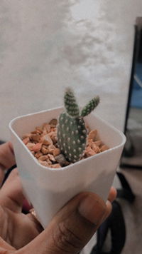 ลูกคนแรก ของแม่ profile icon