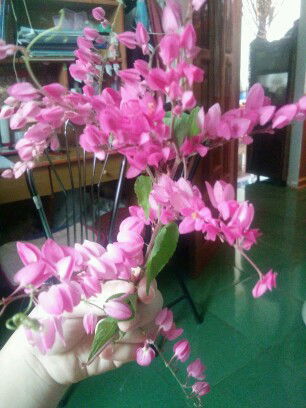 ❤quỳnh❤ profile icon