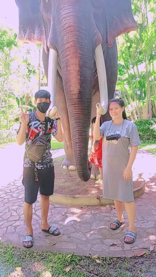 มายด์ มายด์ profile icon