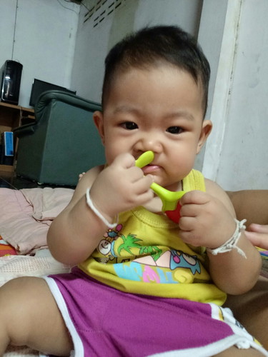 ลูกไม่คลาน