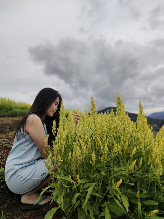 orawan_som profile icon