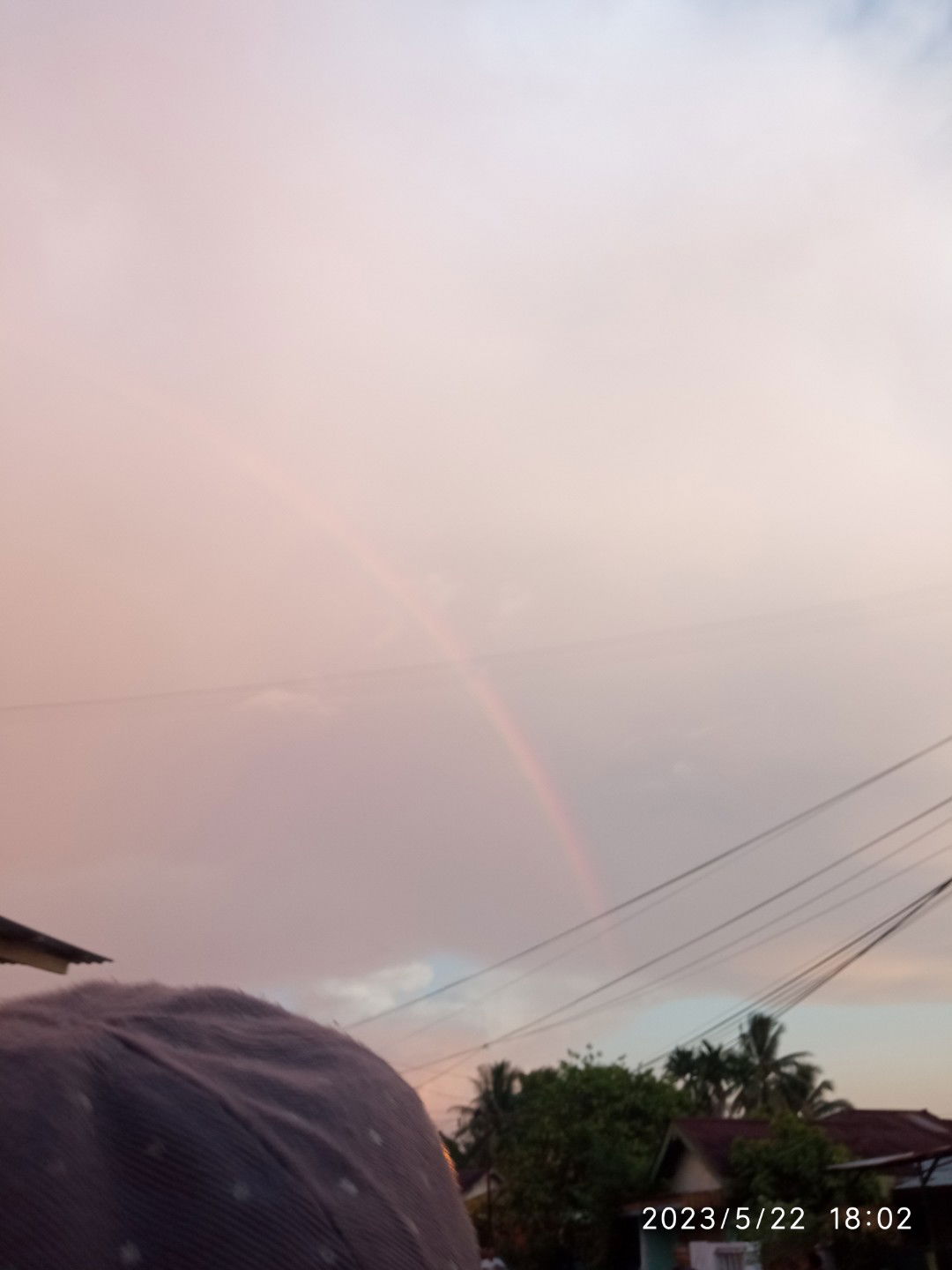 Lidya Putri profile icon