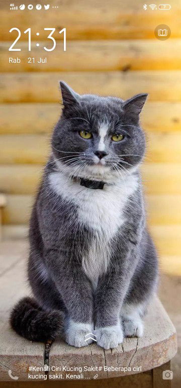 Ummu kha_mush profile icon