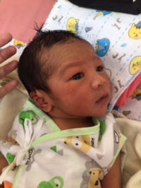 mekmork profile icon