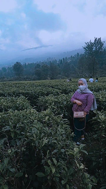 Nurhikmah Hikmah Nurhikmah profile icon