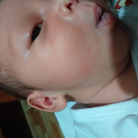 2 weeks old