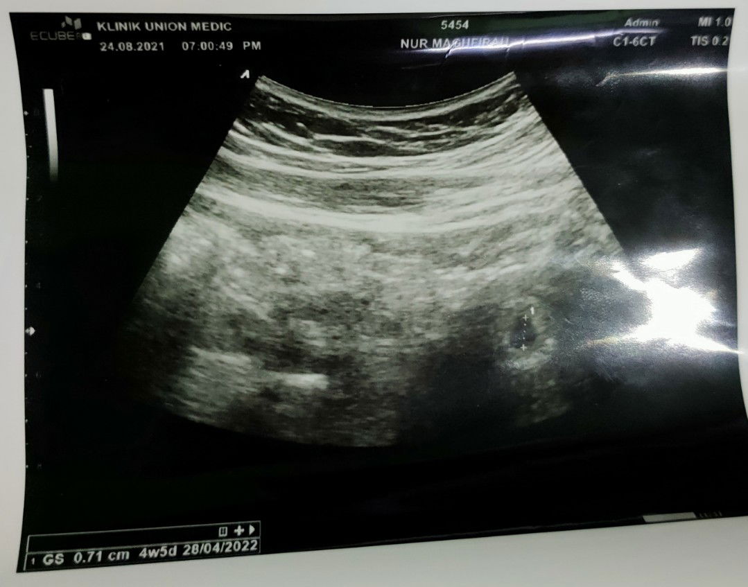 Nur Maghfirah Mohd Zaki profile icon