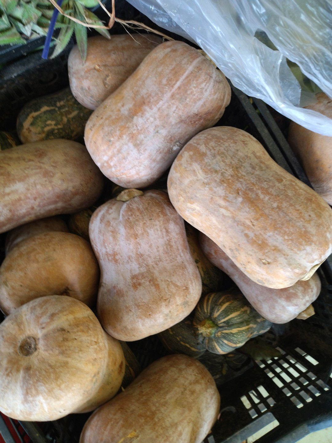 Chung Ly profile icon