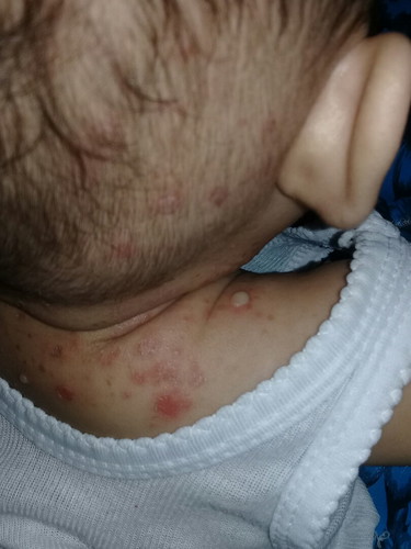 mohon solusinya bunda