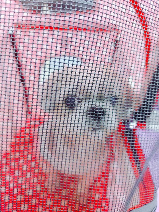 NoiNu Raviphan profile icon