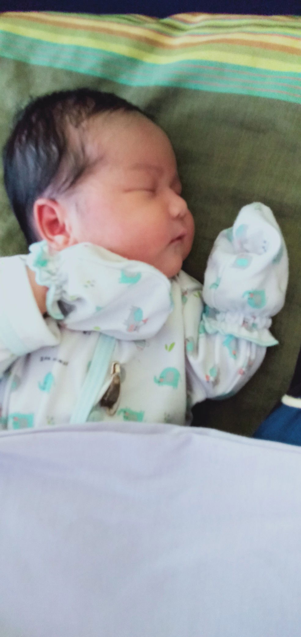 evi jayanti profile icon