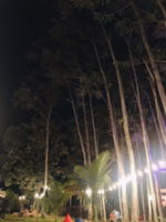 Yessy Yts profile icon