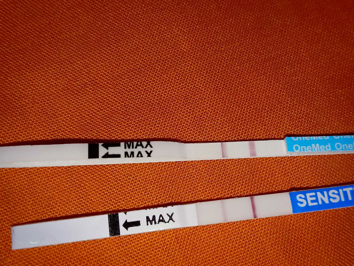 faraheeee profile icon