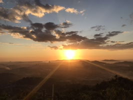 Niethy Cathrynie Nani profile icon