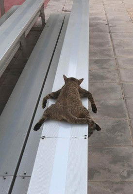 NURUL HUSNA profile icon