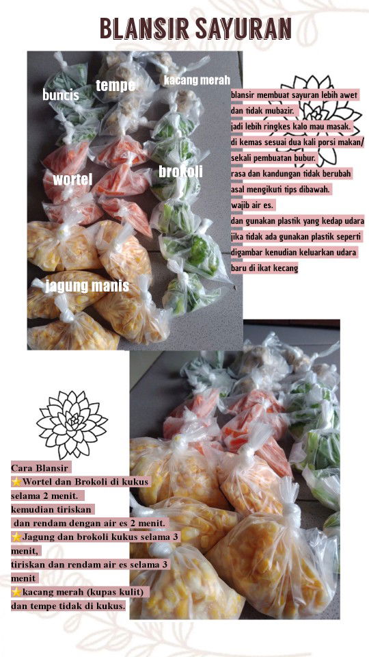 BLANSIR SAYURAN