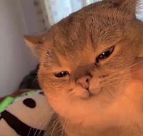 Ploy Wwttn profile icon