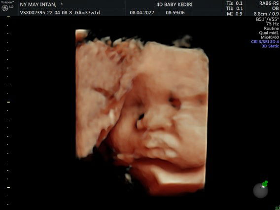 May intan amelia profile icon