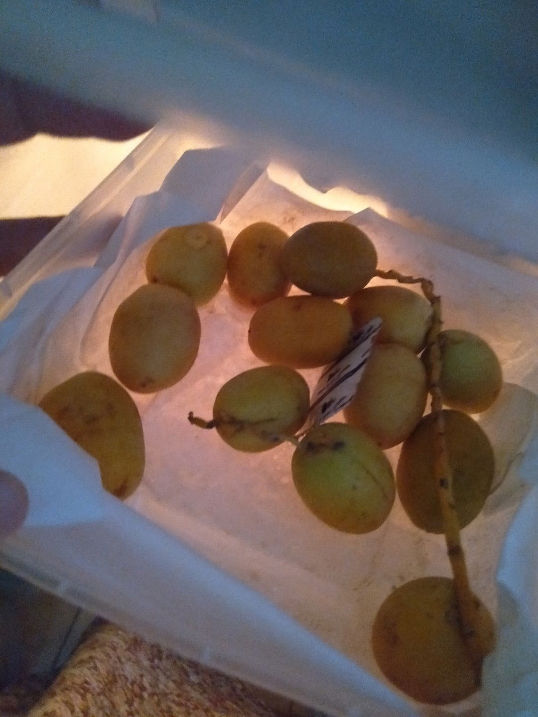 Kurma Sebagai Booster ASI Dan Hamil