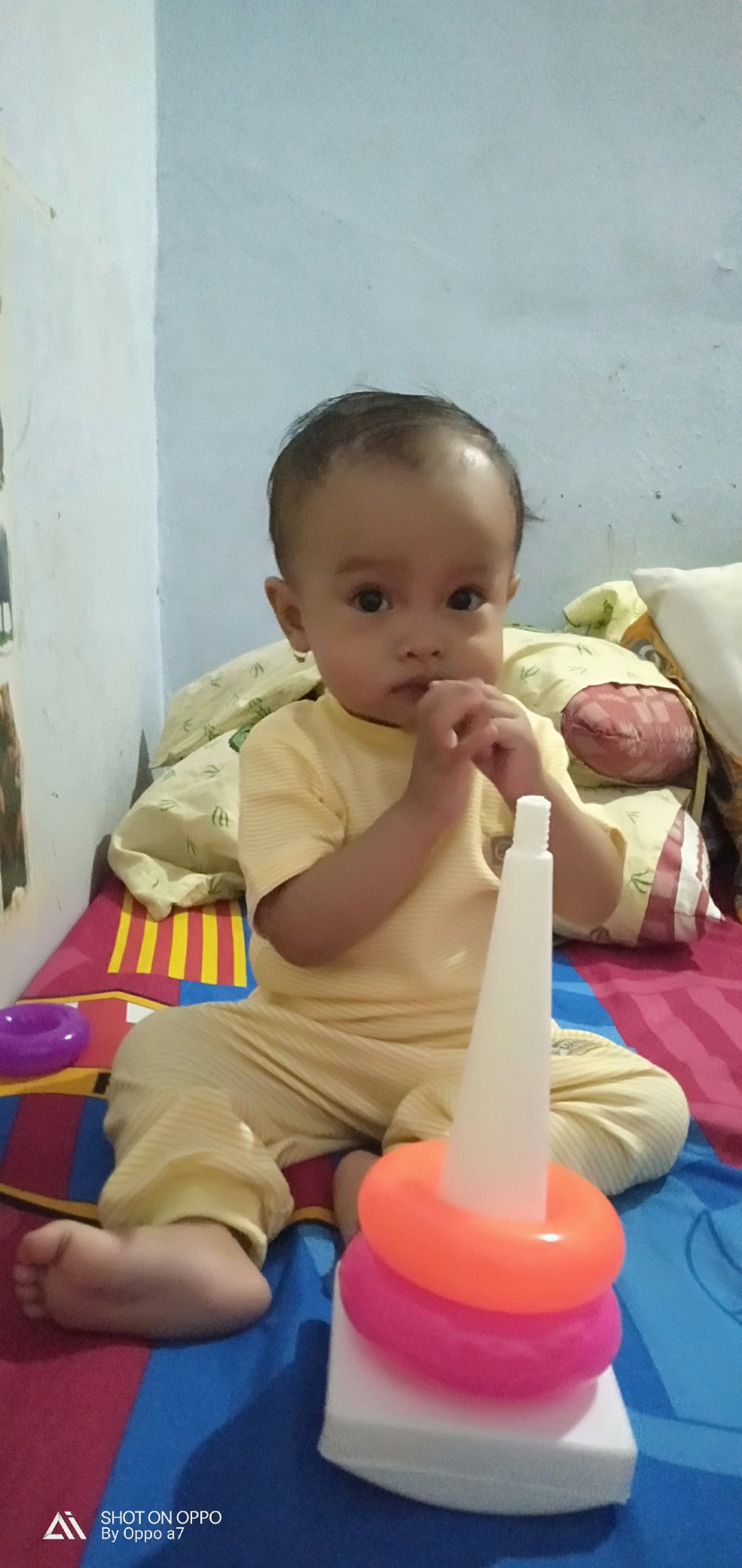 najwa zahirotus shofa profile icon