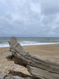 tomyam cilikering profile icon