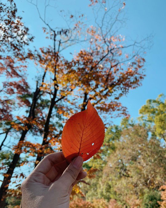 Agus triyani profile icon