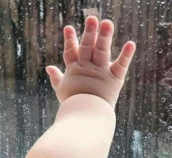 wdytidknw profile icon