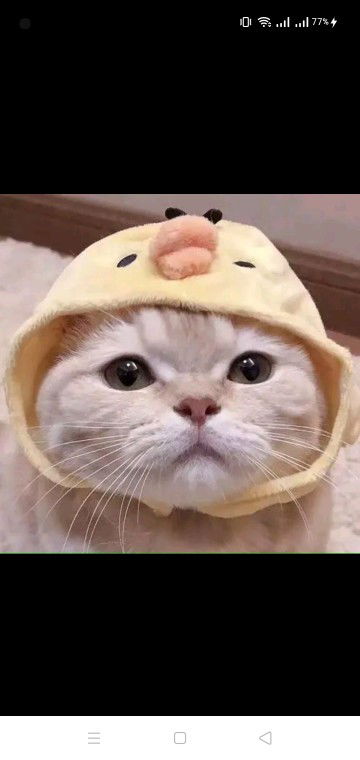 Maya Aprilya profile icon