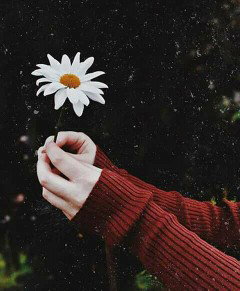 fitri nur alifah profile icon